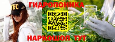 дмт Будённовск