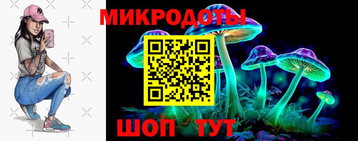 Галлюциногенные грибы Psilocybe Кумертау